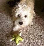 Joyce L.'s profile image