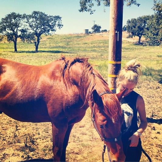 Sarah H.'s profile image