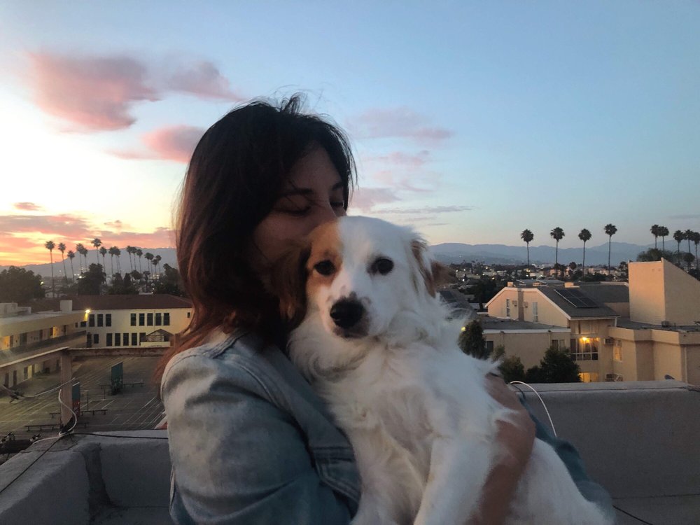 Katie T.'s profile image