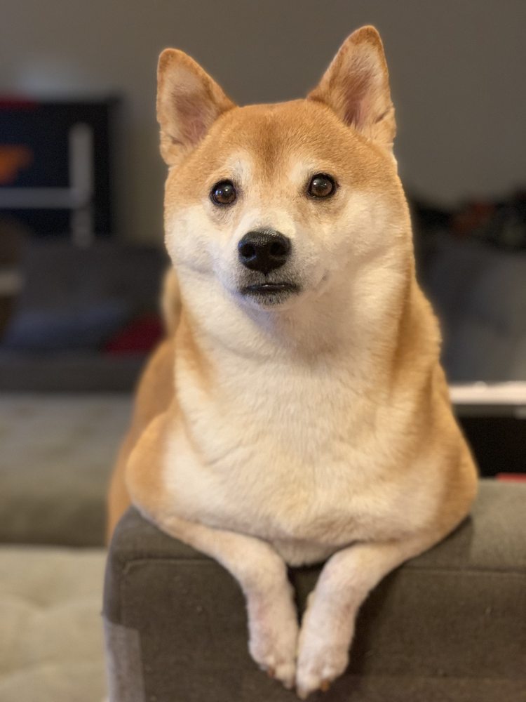 Mitch O.'s profile image