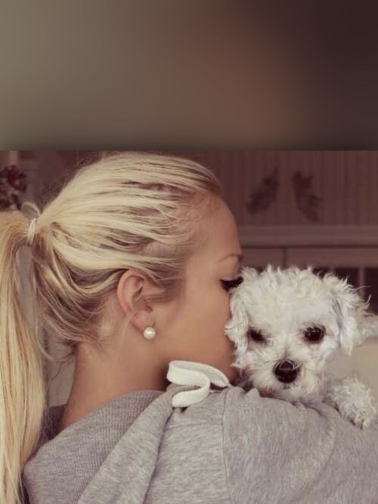 Jenn K.'s profile image