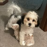 Nicole Martin's profile image
