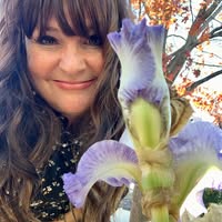 Marie Echelmeyer's profile image