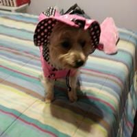 Fran D.'s profile image