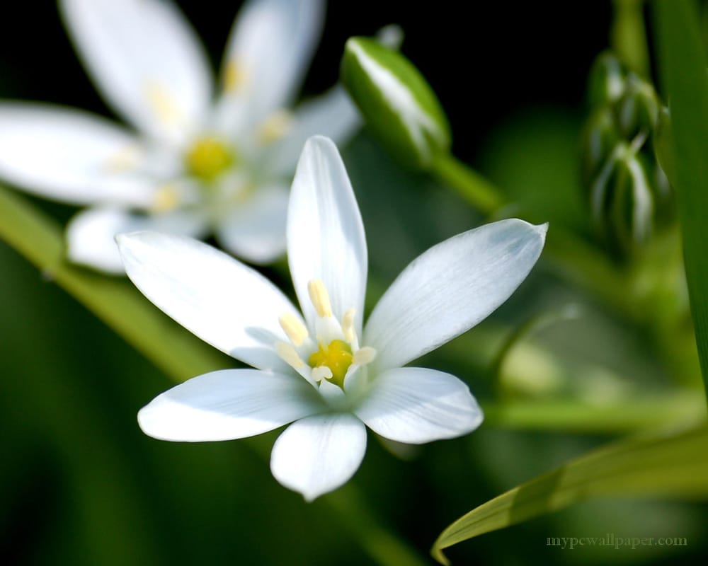 Kristina P.'s profile image