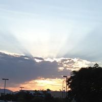 Sandra L.'s profile image