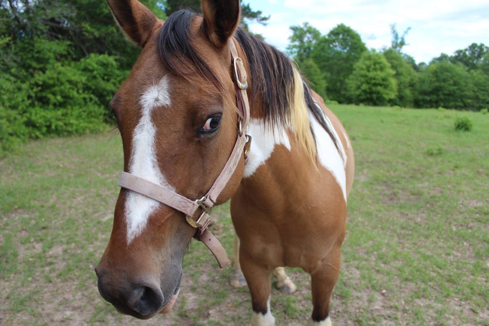 Teddi K.'s profile image