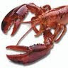 LobsterMan's profile image