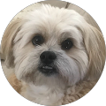 Wendy Seay's Profile Image