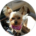 Tanya Sierra's Profile Image