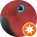 John Penny's Profile Image