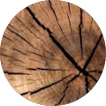 Gina's Profile Image