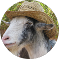 David McMillan's Profile Image