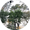 Elmar Aliyev's Profile Image