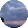 sarah weisz's Profile Image