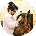 patty mortlock's Profile Image