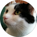 David Boeshaar's Profile Image