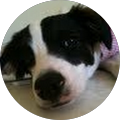 Jamie Le Smutko's Profile Image