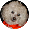 Mary Almond's Profile Image