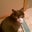 Kelly Glamm's profile image