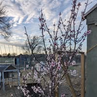 James Meier's profile image