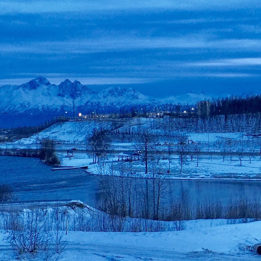 Nunya's profile image