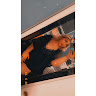 Itzel B.'s profile image