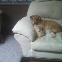 Gary Tabbert's profile image
