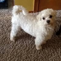 Audrey Bersell's profile image
