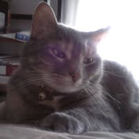 Wendy Waite's profile image