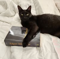 Kristy Clemons's profile image