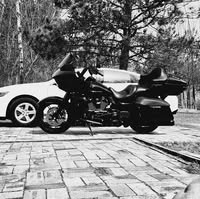 Michael Engelhardt's profile image