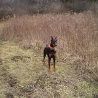 Nancy Schuster's profile image