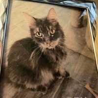 Jackie Pasquini's profile image
