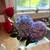 Kimberly Mattingly's profile image