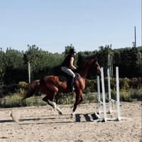 Stephanie Sloan's profile image