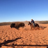 Allan Ross's profile image