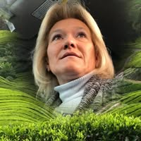 Joyce M Wynn's profile image