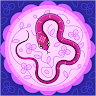 Savannah M.'s profile image