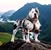 Eugene Sigg's profile image