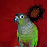 Grace P.'s profile image