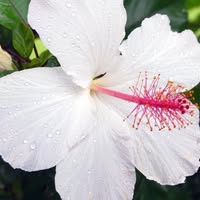 Jill Rieta's profile image