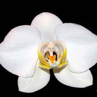 Mike Johns's profile image