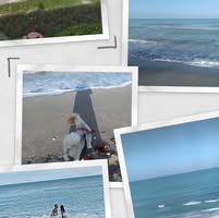Linda S. Wiegand's profile image
