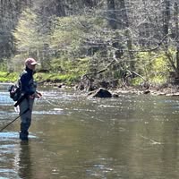 Rebecca Westphal's profile image