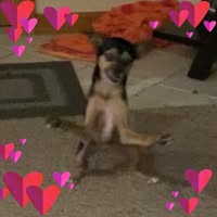 Lisa Black Huleatt's profile image