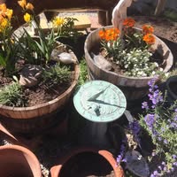 Julia Bass Arbaugh's profile image