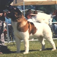 Sylvia Thomas's profile image