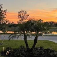 Lynne Nuzbach's profile image