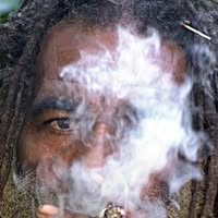 Blazey Mcsmokesalot's profile image